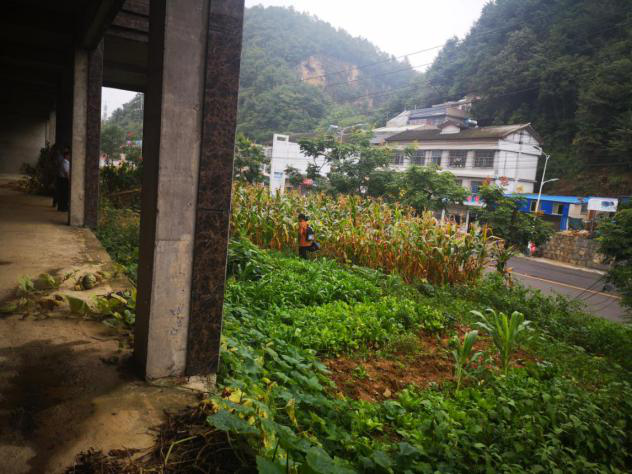 1600918141773943.png 1600918141773943.png