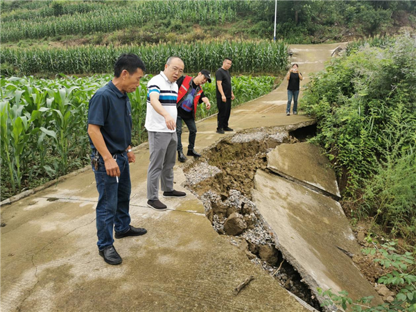 1720159335117832.png 圖片5_副本.png