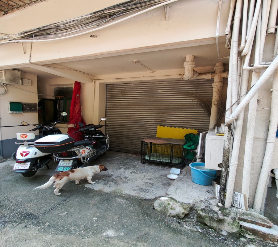 圖片關(guān)鍵詞