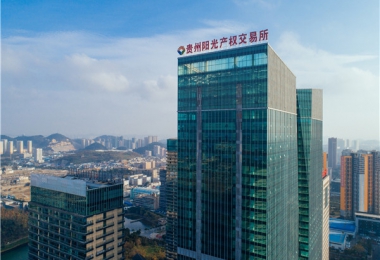 圍繞國發(fā)2號文件精神  聚力“強省會”五年行動  打造綜合性要素交易平臺