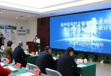 加強(qiáng)知識(shí)產(chǎn)權(quán)運(yùn)營(yíng) 助力實(shí)體經(jīng)濟(jì)發(fā)展——貴州省高校專利技術(shù)成果推介會(huì)暨專利轉(zhuǎn)化運(yùn)用研討會(huì)圓滿召開(kāi)