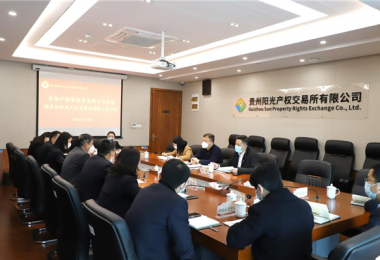 以高質(zhì)量黨建引領(lǐng)高質(zhì)量發(fā)展 打造全省規(guī)范統(tǒng)一高效的專(zhuān)業(yè)性市場(chǎng)化平臺(tái)！趙旭調(diào)研貴州陽(yáng)光產(chǎn)權(quán)交易所