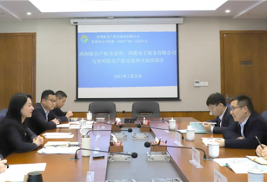 經(jīng)驗交流  共促發(fā)展——西南聯(lián)合產(chǎn)權(quán)交易所、西藏電子商務(wù)有限公司 與貴州陽光產(chǎn)權(quán)交易所交流座談