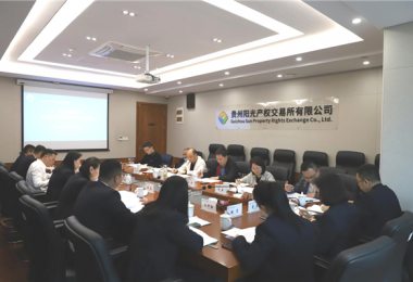 貴州省地方金融監(jiān)管局、貴州證監(jiān)局、貴陽市金融辦到貴州陽光產(chǎn)權(quán)交易所、貴州環(huán)交所開展權(quán)益類交易場所調(diào)研