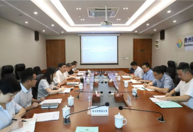 西南聯(lián)合產權交易所、西藏電子商務有限公司與貴州陽光產權交易所交流座談會