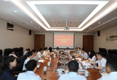 堅持自我革命 筑牢發(fā)展基石——貴州陽光產(chǎn)權(quán)交易所黨委召開2023年上半年全面從嚴(yán)治黨分析研判會