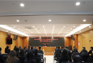 以案為鑒，警醒前行——貴州陽光產權交易所黨委組織召開2024年警示教育大會