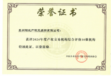 喜訊！貴州陽(yáng)光產(chǎn)權(quán)交易所獲得2024年度全國(guó)產(chǎn)權(quán)交易機(jī)構(gòu)2項(xiàng)30強(qiáng)榮譽(yù)