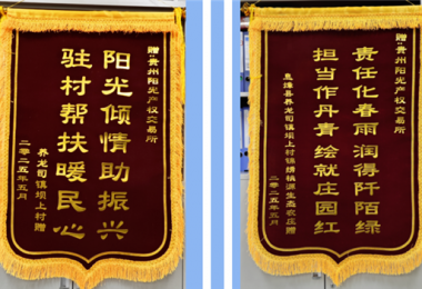 雙錦映紅鄉(xiāng)村振興路  陽光傾情澆灌壩上“春”——陽光產權交易所駐村幫扶獲贈感恩錦旗